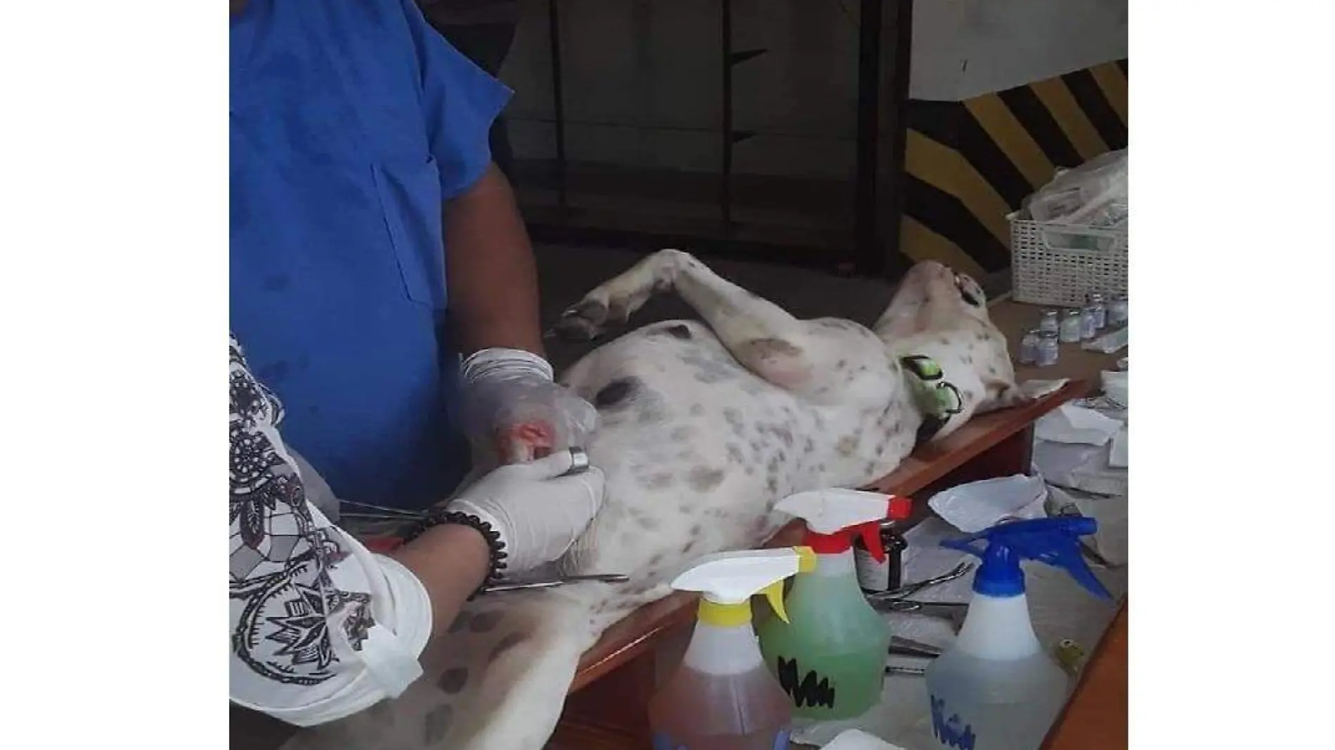 ESTERILIZACIÓN 1